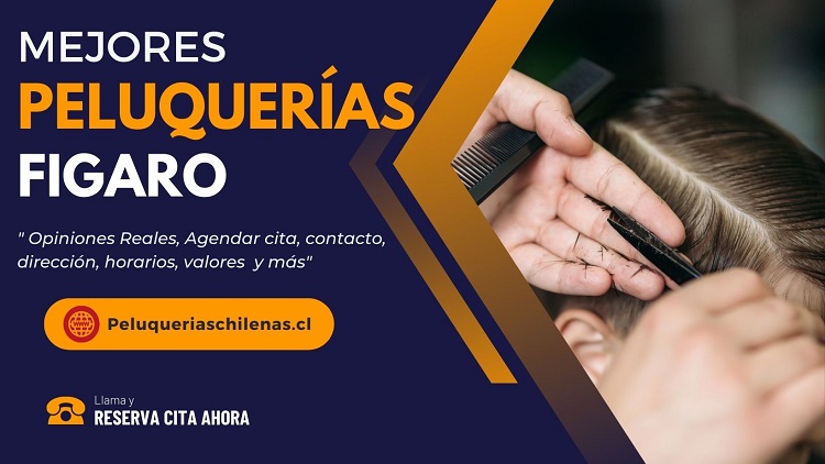 Peluqueria Infantil Figaro de Chile