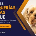 Peluquerías Caninas en Iquique
