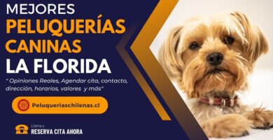 Peluquerias Caninas en La Florida