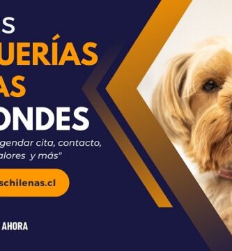 Peluquerias Caninas en Las Condes