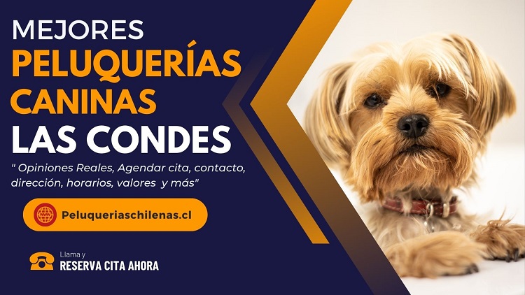 Peluquerias Caninas en Las Condes