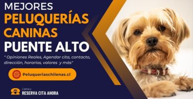 Peluquerias Caninas en Puente Alto