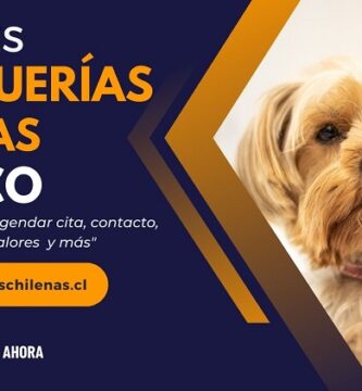 Peluquerias Caninas en Temuco