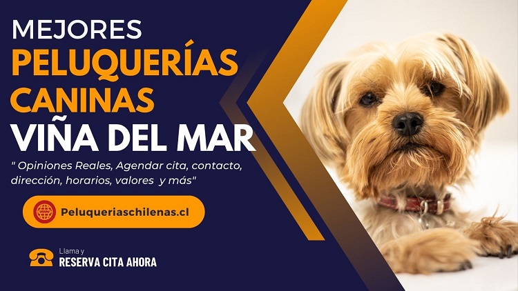 Peluquerias Caninas en Viña del Mar Chile